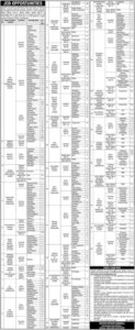 Specialized Healthcare Department Punjab Jobs Online Application Form