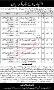 Bait ul Maal & Social Welfare Department Jobs 2023